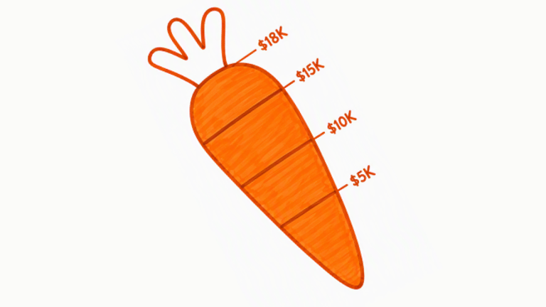 We Reached Our $18,000 Goal!