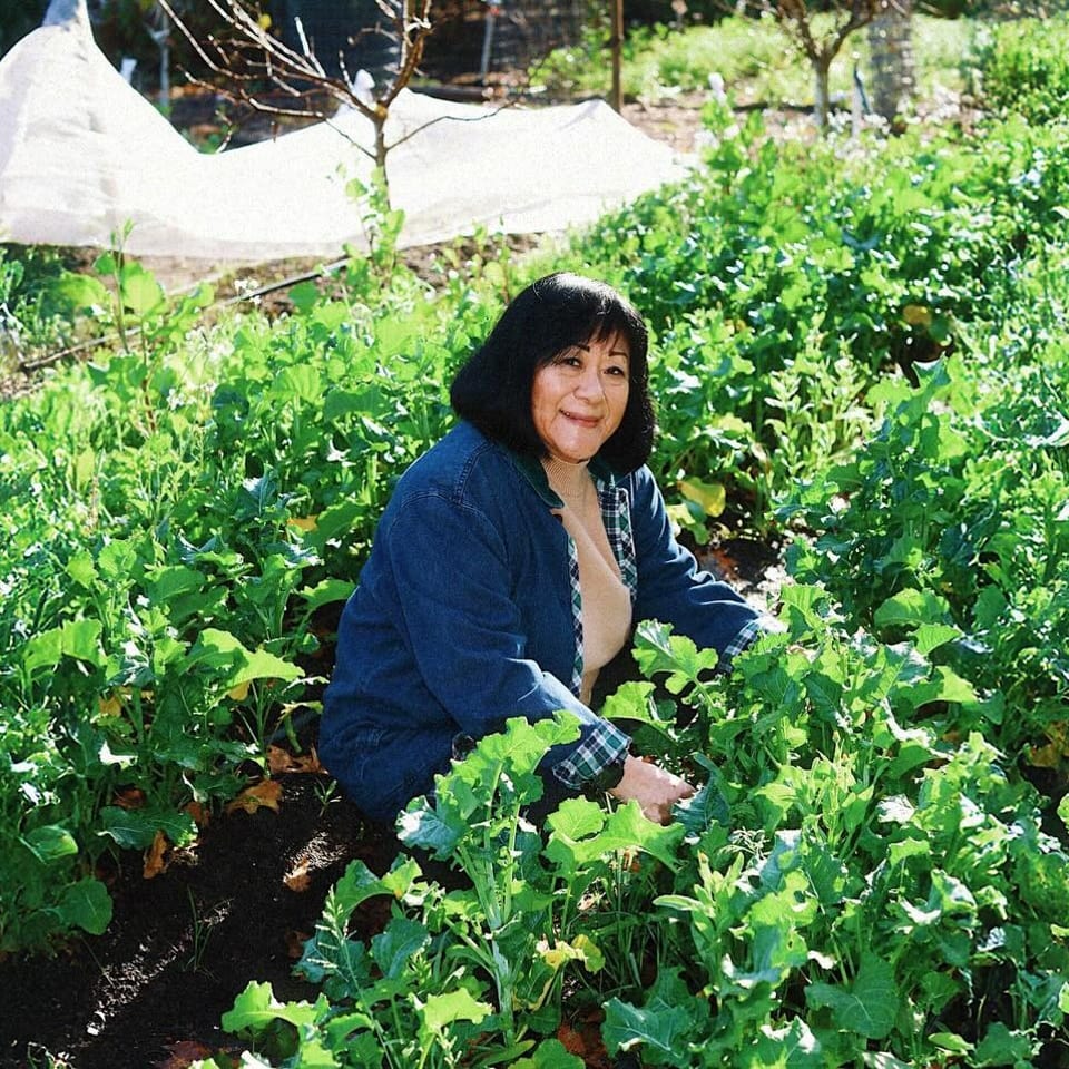 Woman kneels among leafy vegetables in a sunny garden, with protective fabric-covered plants behind her.